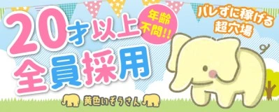 松島新地求人「黄色いぞうさん」