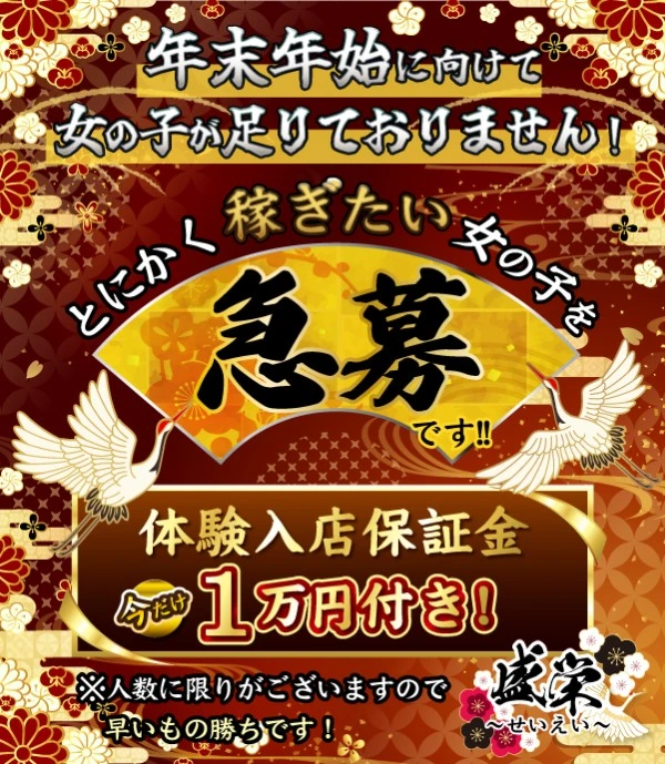 松島新地求人:盛栄〜せいえい〜