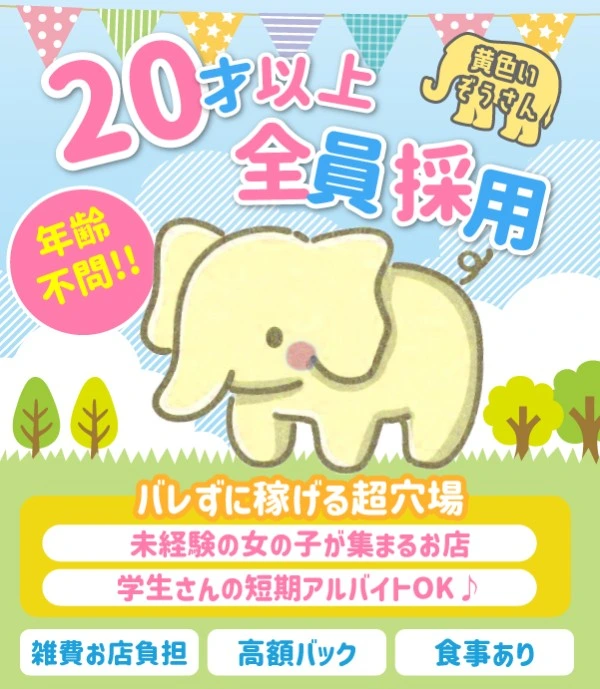 松島新地求人：黄色いぞうさん